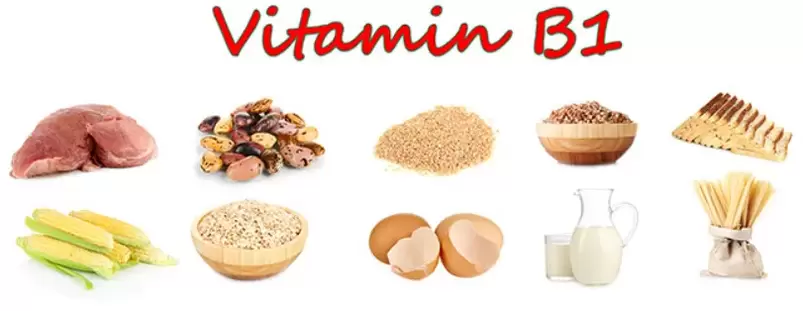 witamina B1 w produktach na potencję