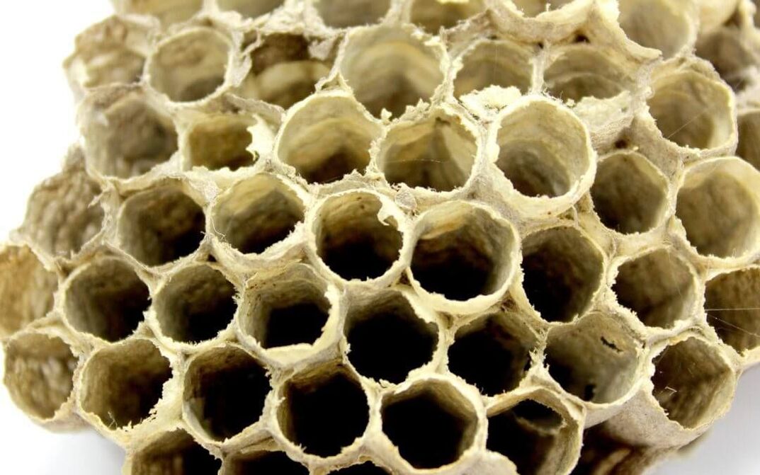 klej pszczeli zwiększający potencję